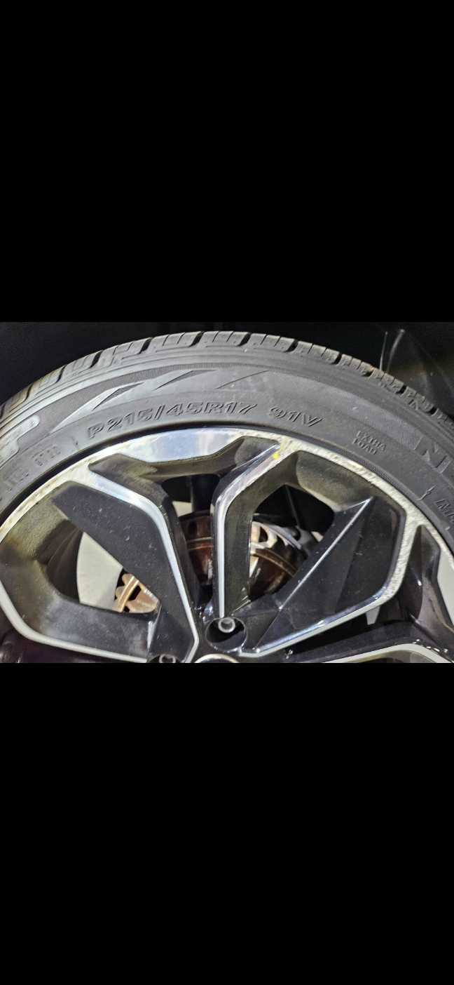 2019 Renault Korea Clio Intense Panoramic - Thumbnail 71
