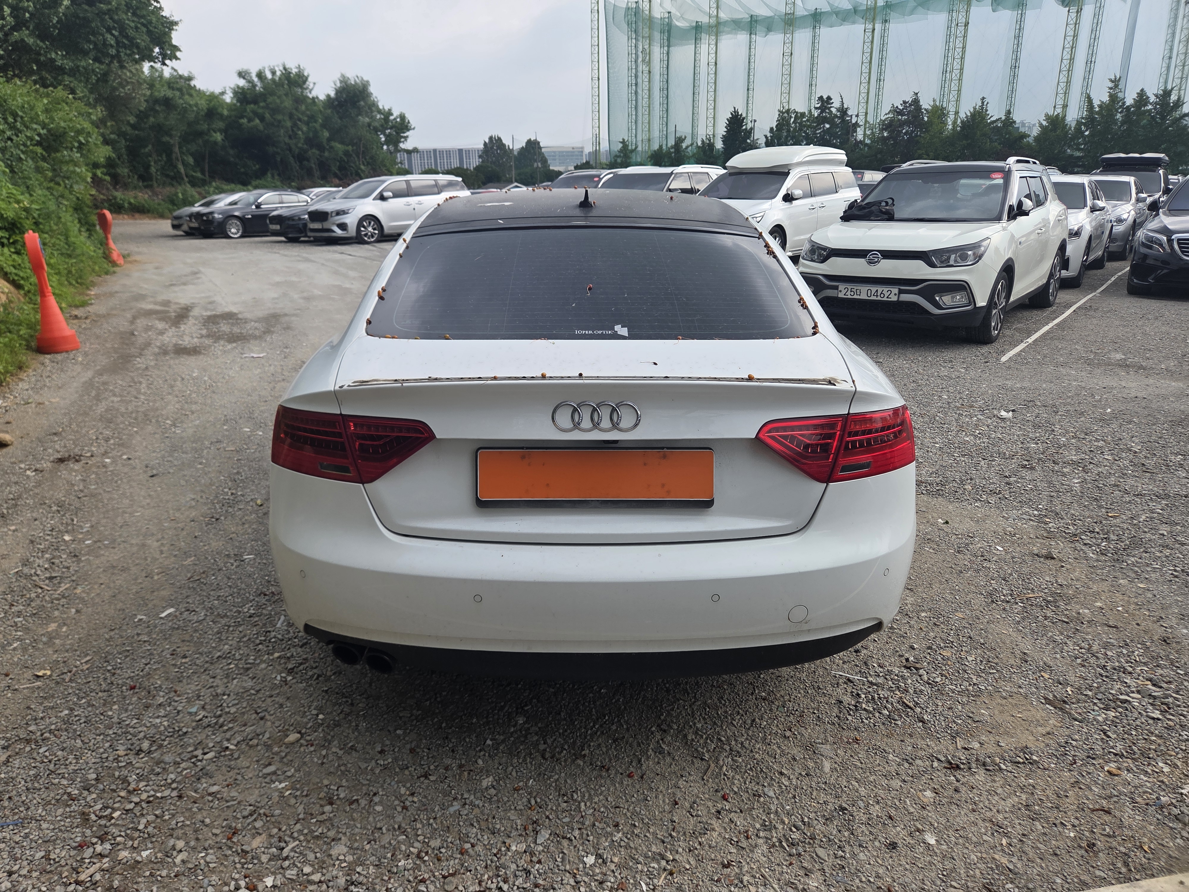 2014 AUDI  A5 2.0 TDI Quattro dynamic Sportback  - Thumbnail 3