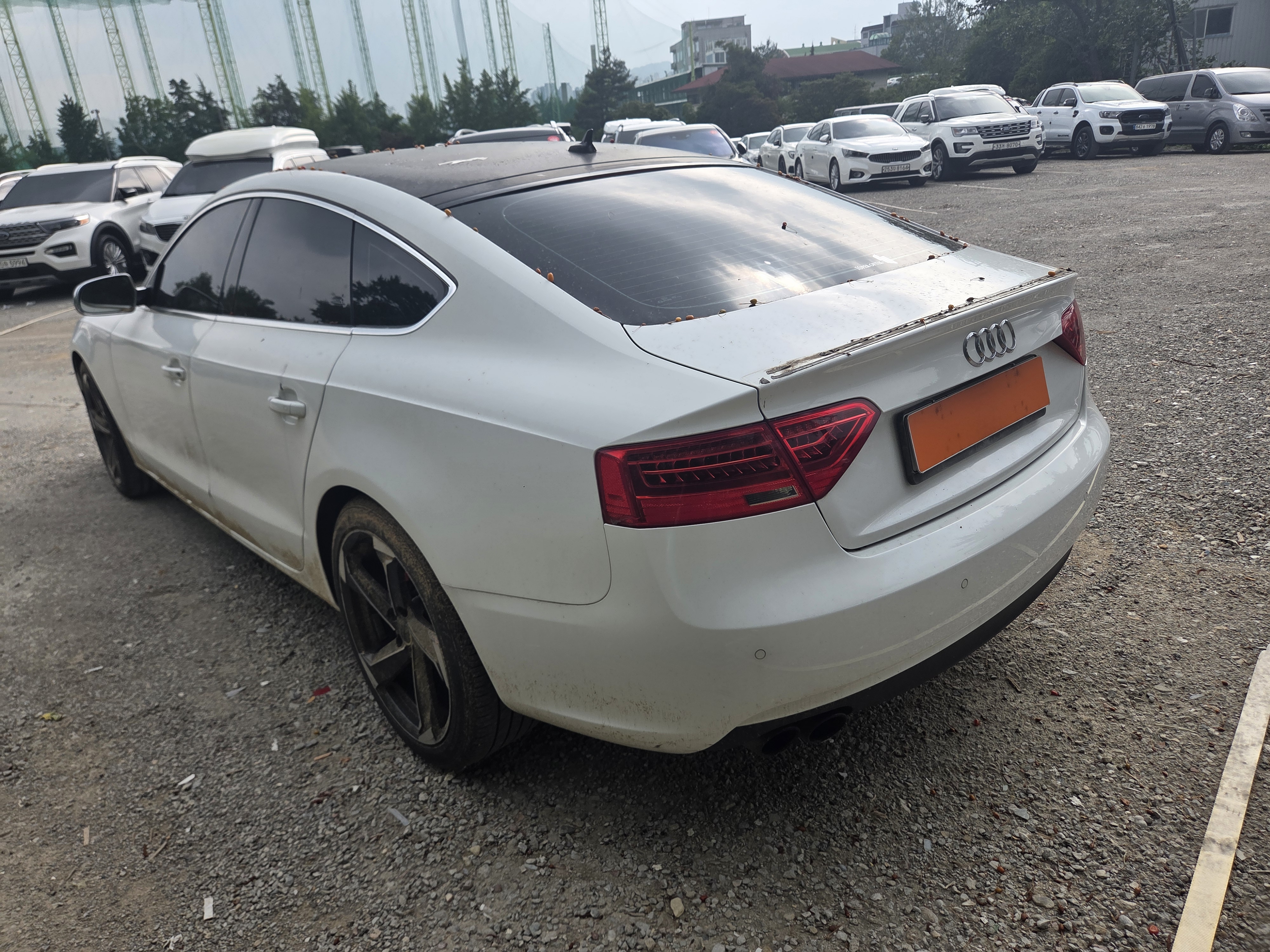2014 AUDI  A5 2.0 TDI Quattro dynamic Sportback  - Thumbnail 4