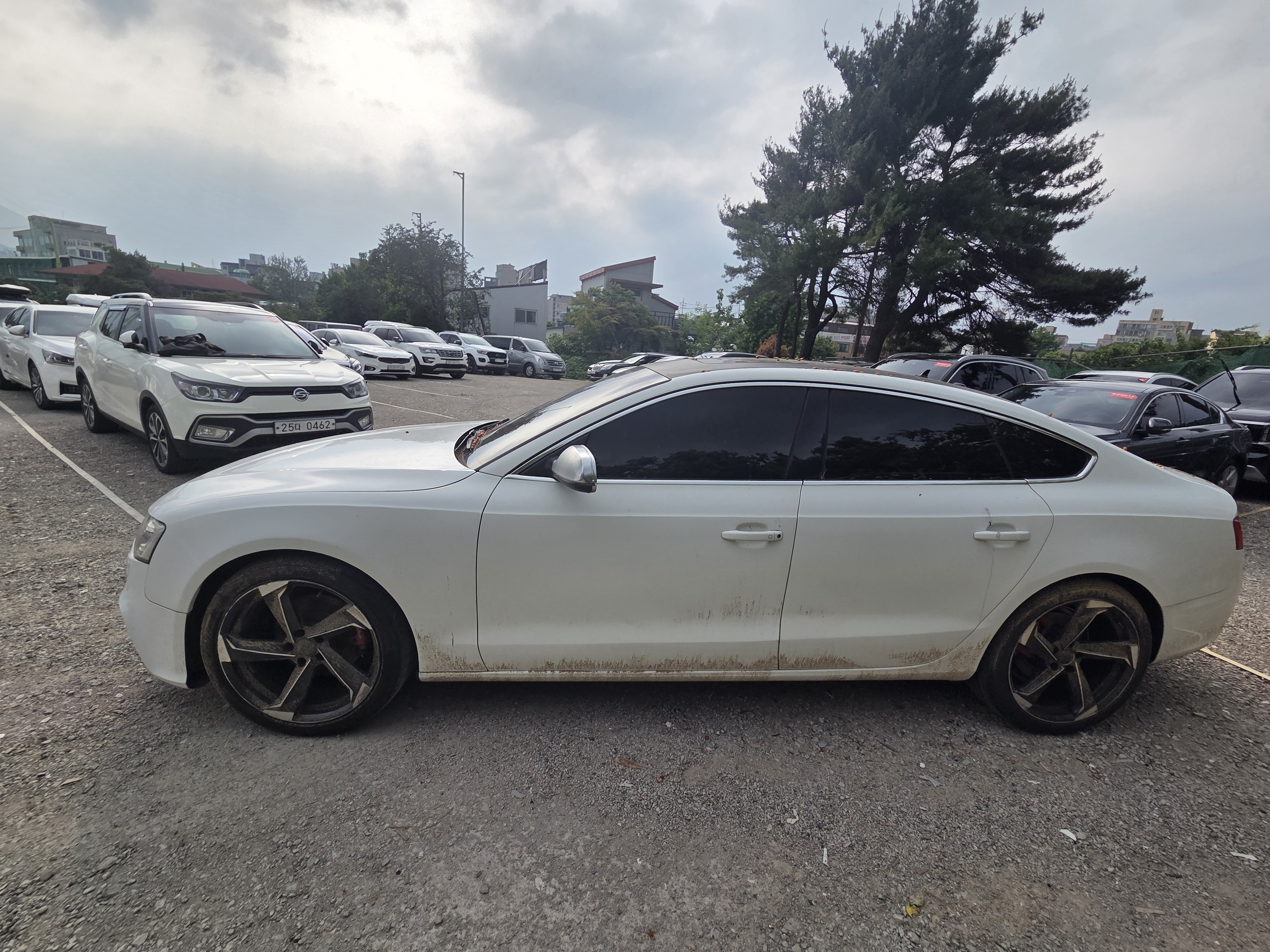 2014 AUDI  A5 2.0 TDI Quattro dynamic Sportback  - Thumbnail 5
