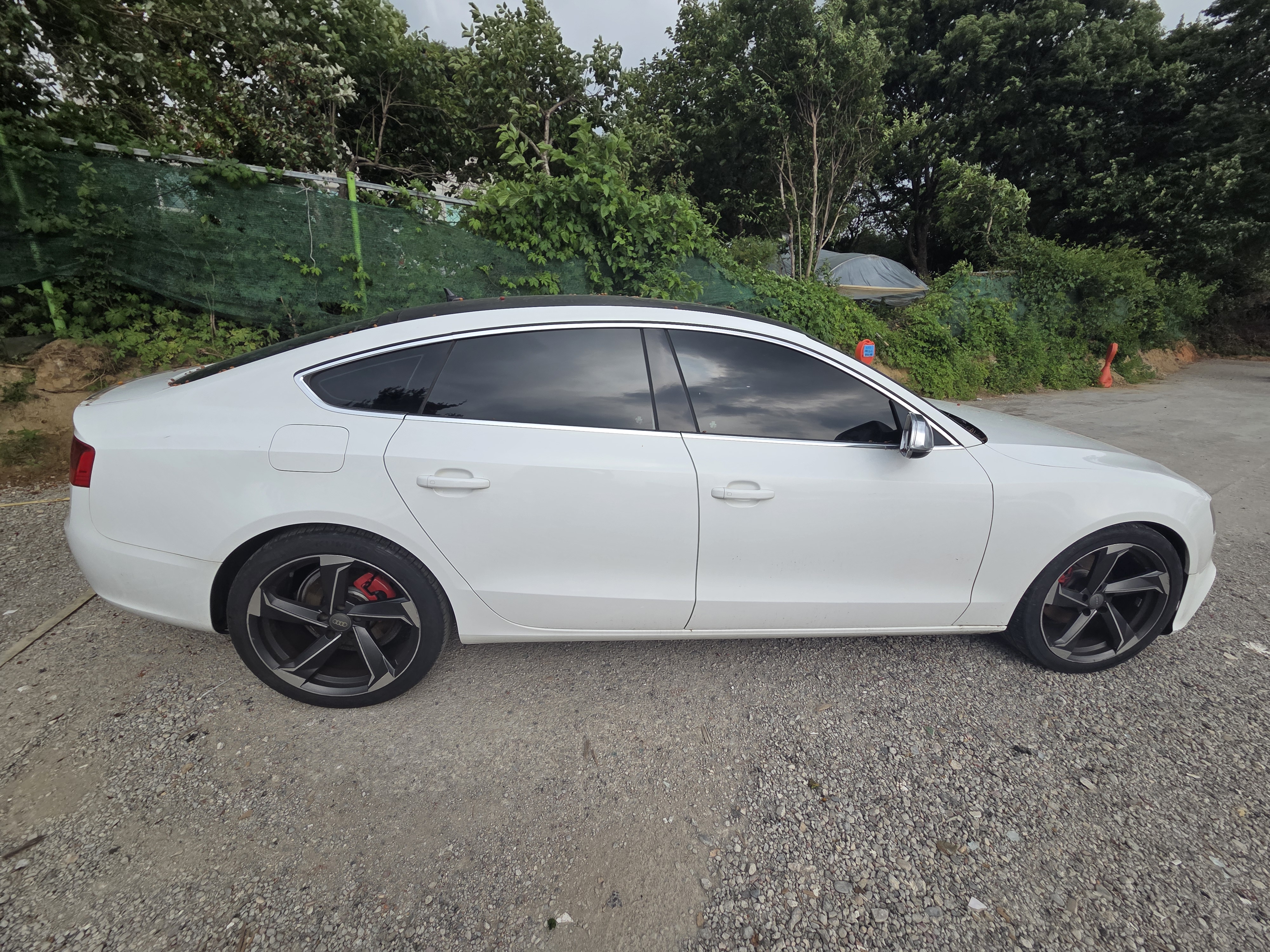 2014 AUDI  A5 2.0 TDI Quattro dynamic Sportback  - Thumbnail 7