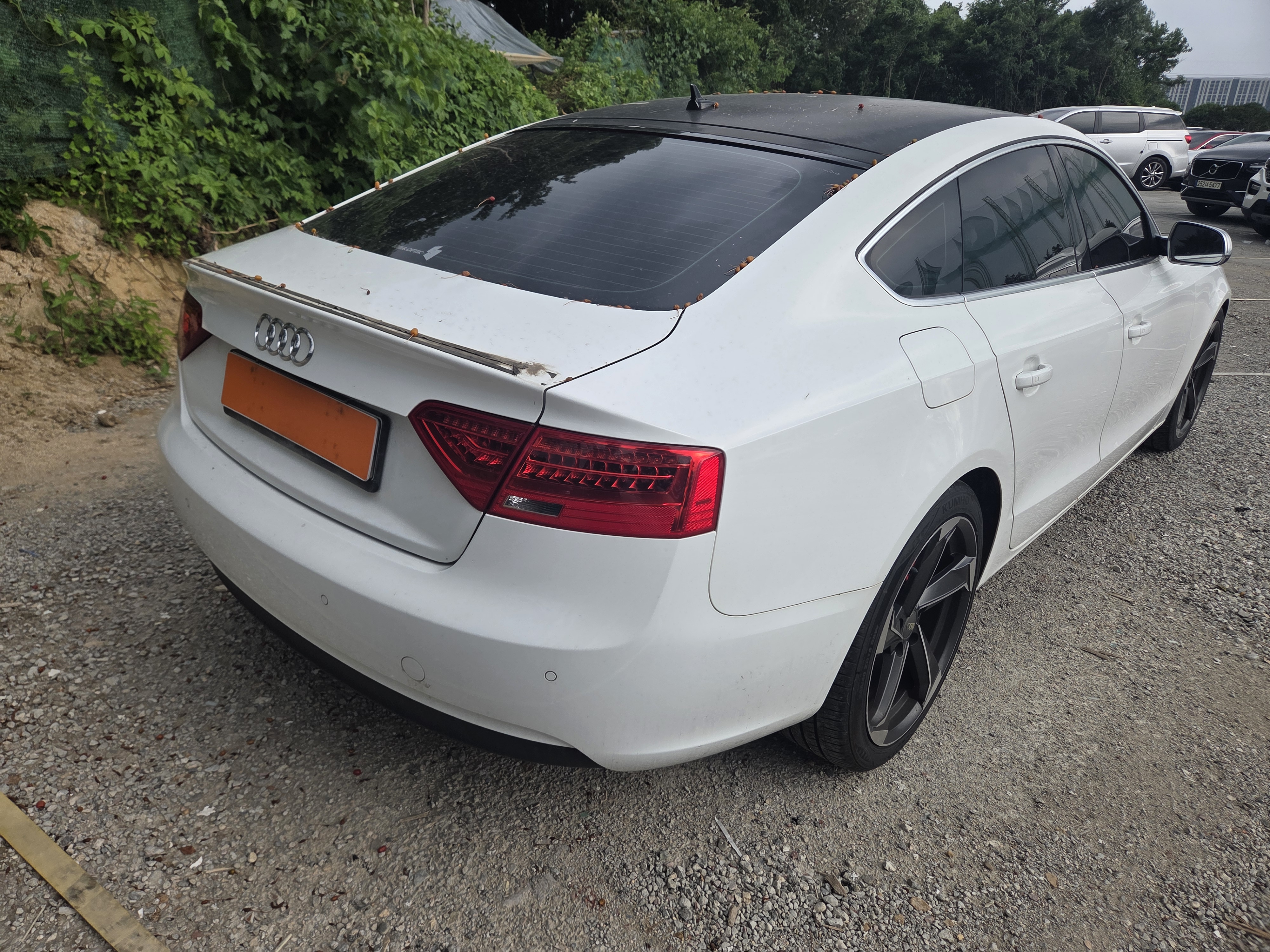 2014 AUDI  A5 2.0 TDI Quattro dynamic Sportback  - Thumbnail 8