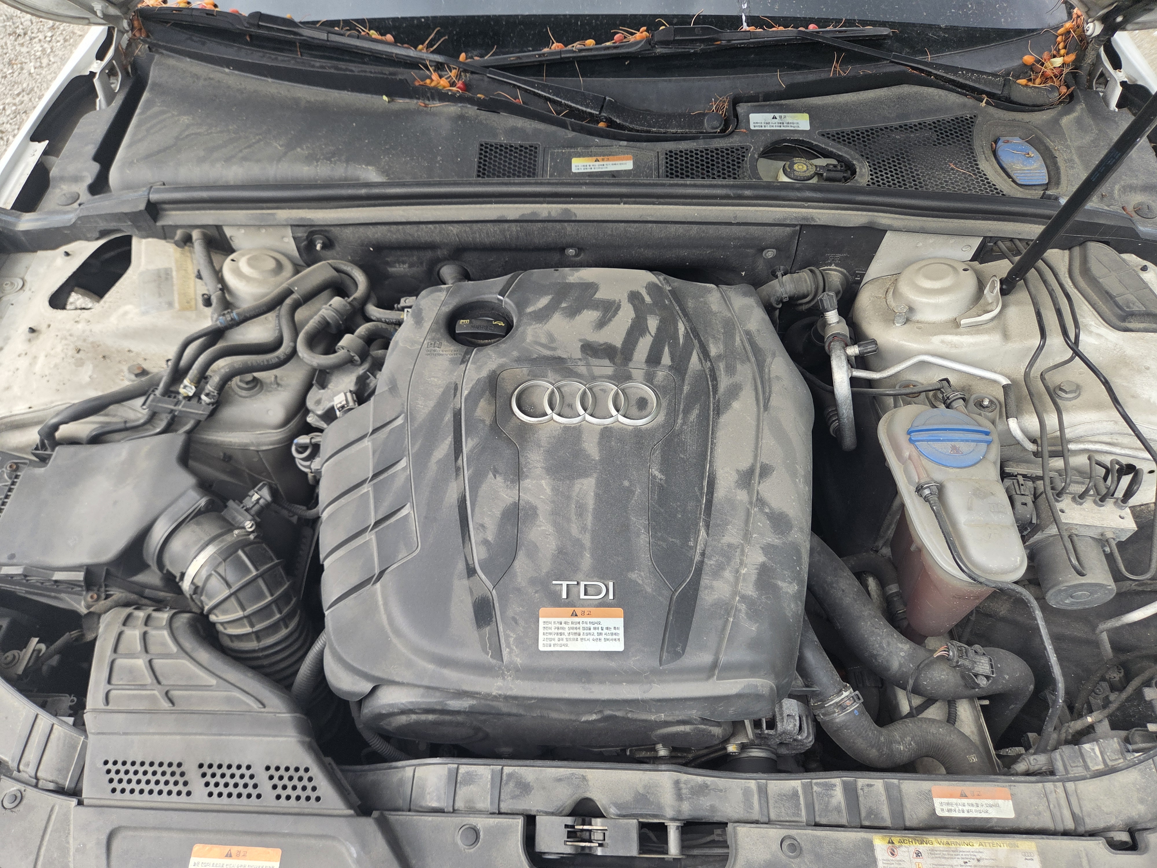 2014 AUDI  A5 2.0 TDI Quattro dynamic Sportback  - Thumbnail 39