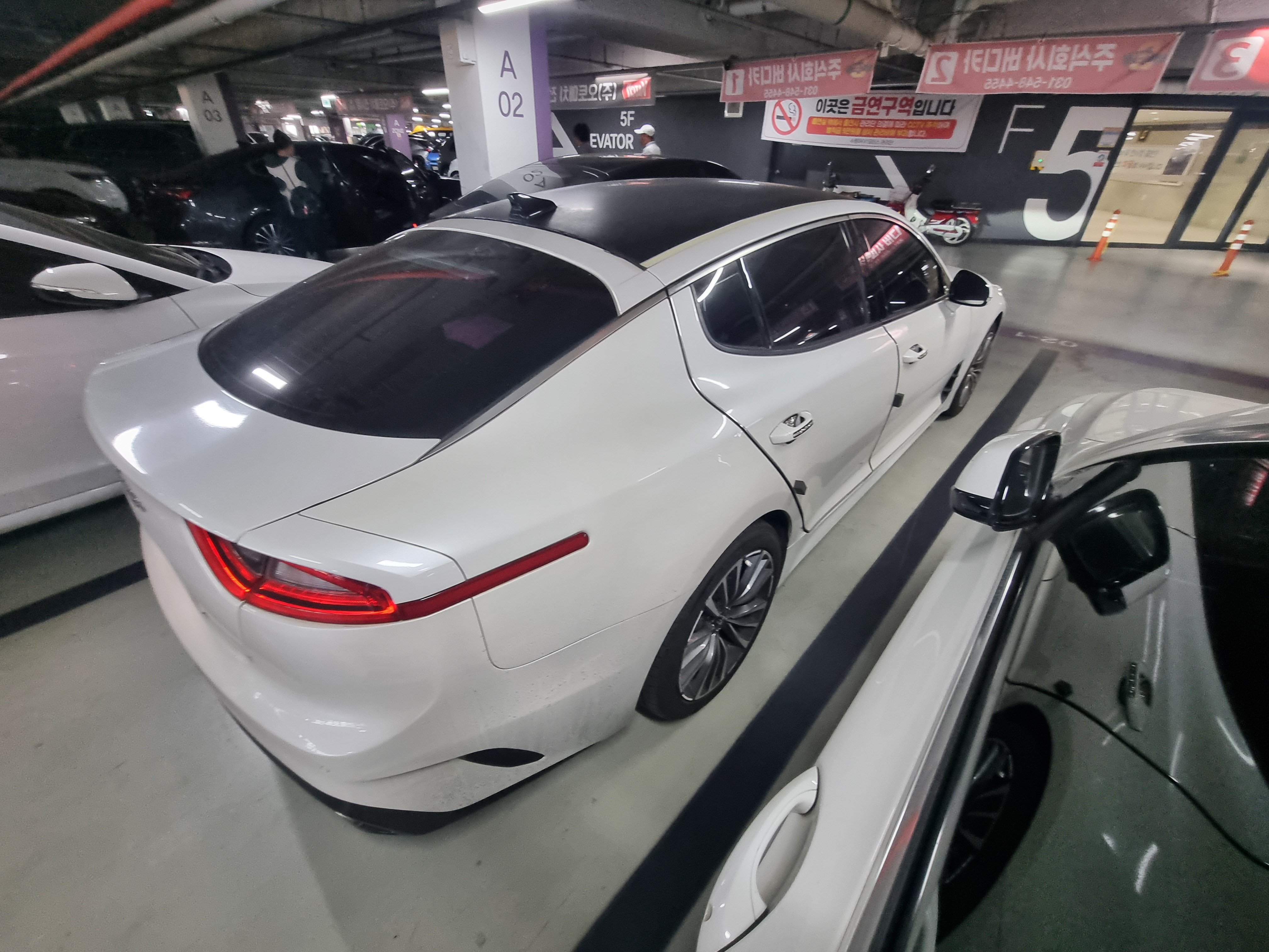 2017 KIA STINGER DIESEL 2.2 2WD PLATINUM - Thumbnail 7