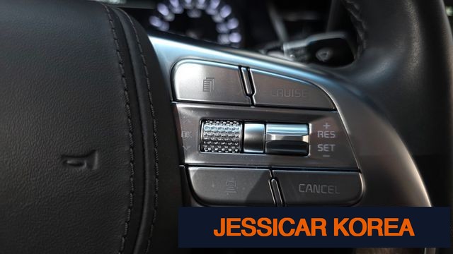2021 Kia The K9 - Thumbnail 20