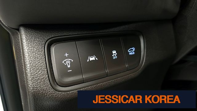 2019 Hyundai Santa Fe TM - Thumbnail 9