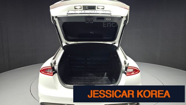 2019 Kia Stinger - Thumbnail 20