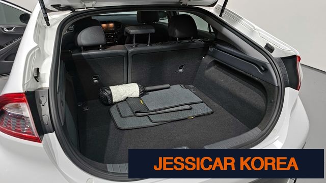 2017 Hyundai IONIQ Electric - Thumbnail 10