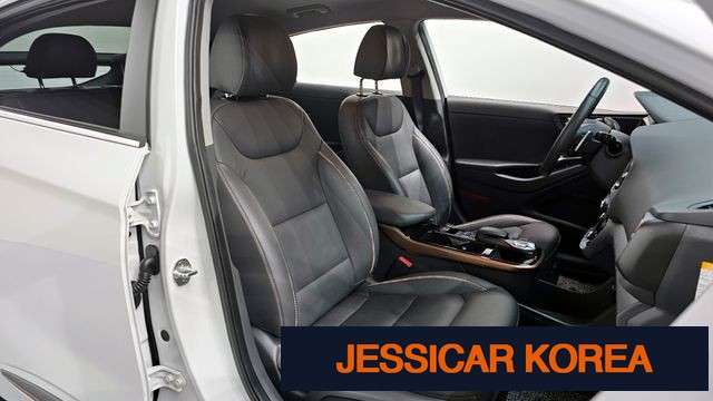 2017 Hyundai IONIQ Electric - Thumbnail 12