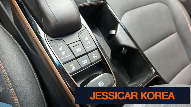 2017 Hyundai IONIQ Electric - Thumbnail 14