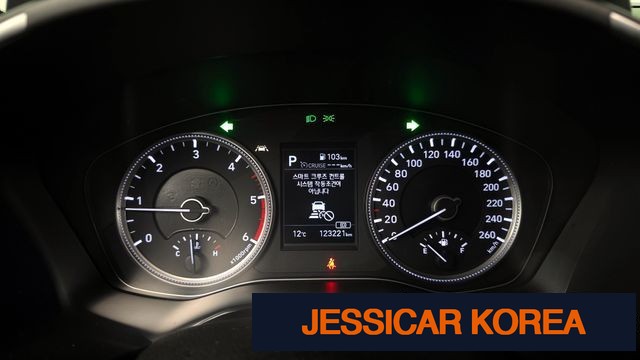 2019 Hyundai Santa Fe TM - Thumbnail 7