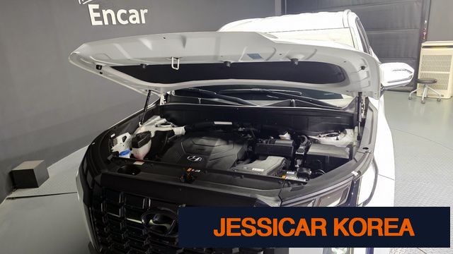 2023 Hyundai The New Palisade - Thumbnail 12
