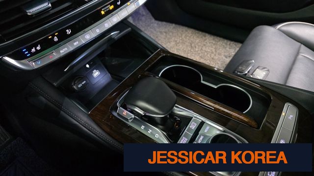 2019 Kia The K9 - Thumbnail 18
