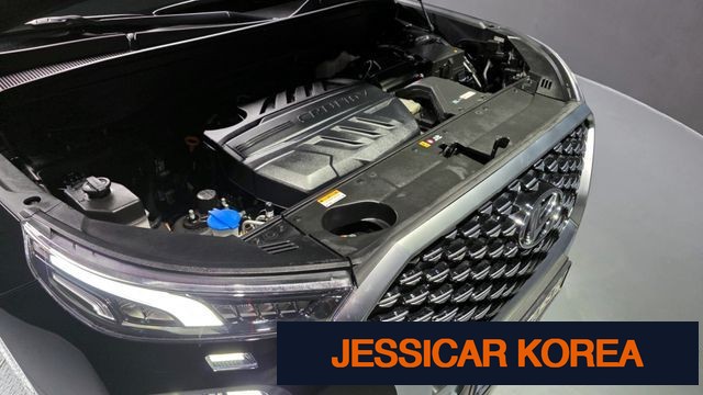 2021 Hyundai Palisade - Thumbnail 8