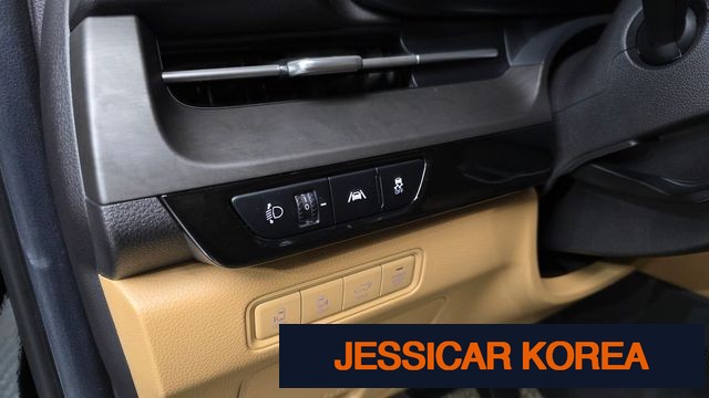 2021 Kia Carnival 4th Gen - Thumbnail 12