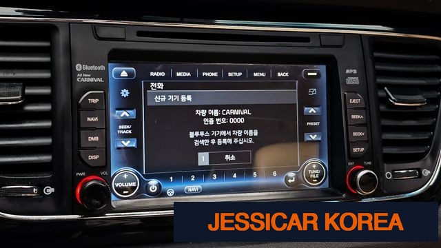 2017 Kia All New Carnival - Thumbnail 2