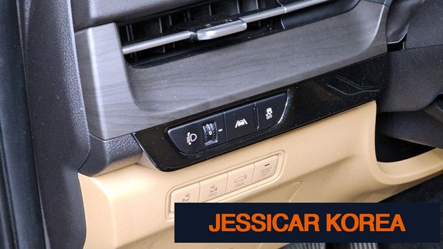 2021 Kia Carnival 4th Gen - Thumbnail 11