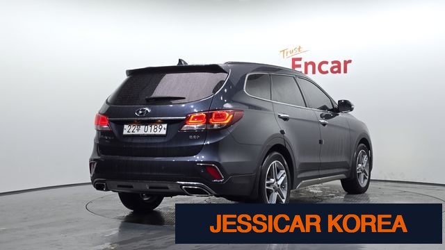 2017 Hyundai The New Maxcruz - Thumbnail 18