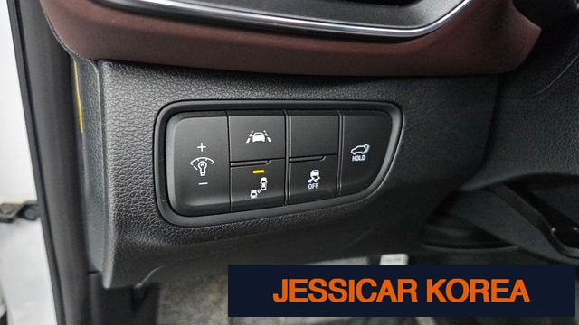 2019 Hyundai Santa Fe TM - Thumbnail 15