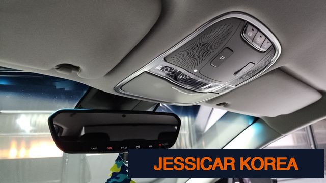2019 Kia The K9 - Thumbnail 17