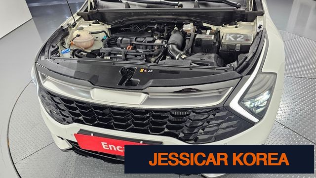 2022 Kia Sportage 5th Gen - Thumbnail 14