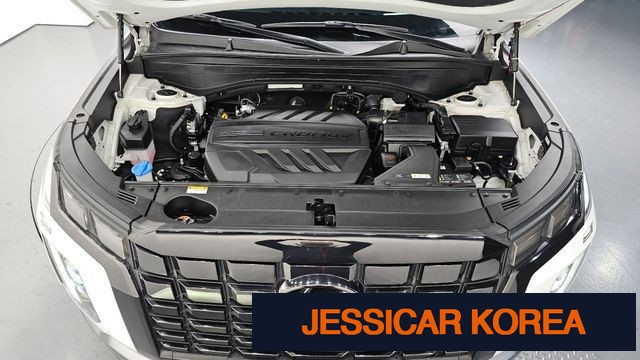 2023 Hyundai The New Palisade - Thumbnail 11