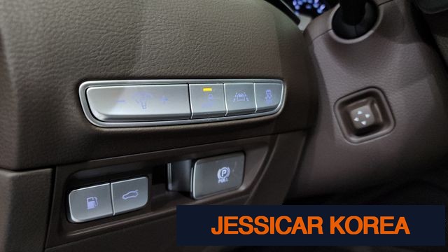 2019 Kia The K9 - Thumbnail 14