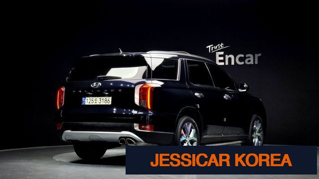 2019 Hyundai Palisade - Thumbnail 4
