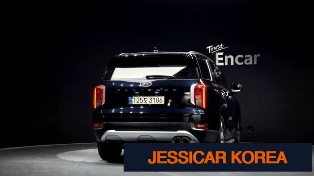 2019 Hyundai Palisade - Thumbnail 7