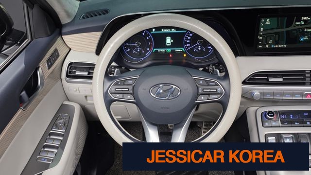 2019 Hyundai Palisade - Thumbnail 18
