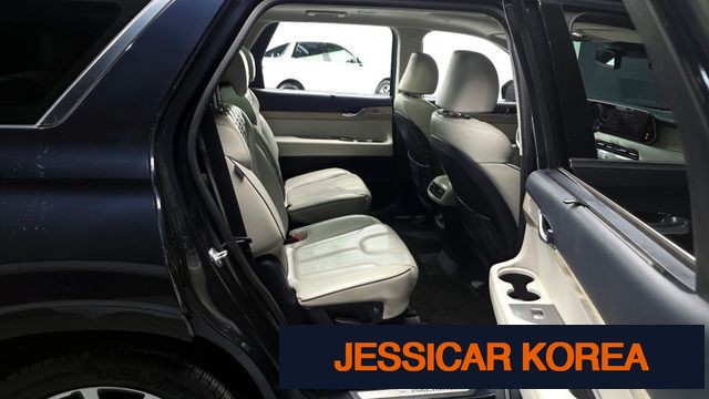 2019 Hyundai Palisade - Thumbnail 8