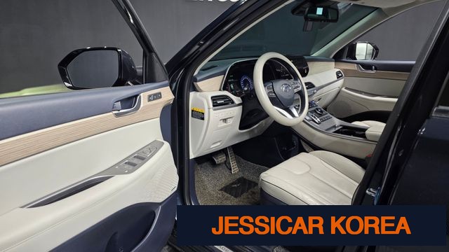 2019 Hyundai Palisade - Thumbnail 16