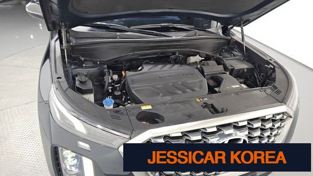 2019 Hyundai Palisade - Thumbnail 10