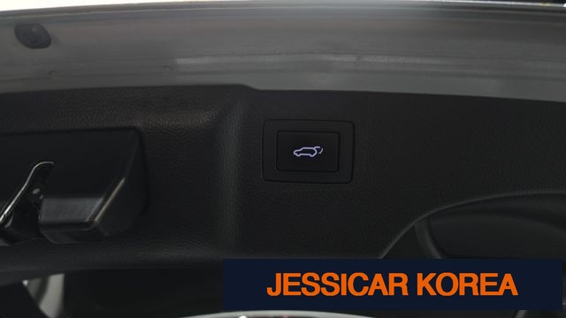 2014 Hyundai Maxcruz - Thumbnail 15