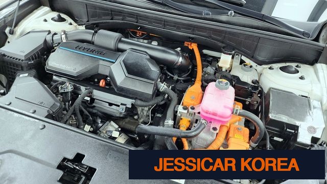 2022 Kia Sorento 4th Gen - Thumbnail 16