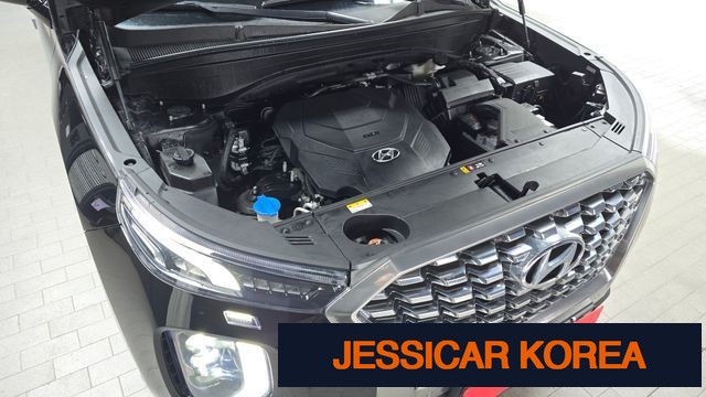 2019 Hyundai Palisade - Thumbnail 9