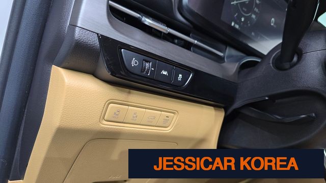 2021 Kia Carnival 4th Gen - Thumbnail 11