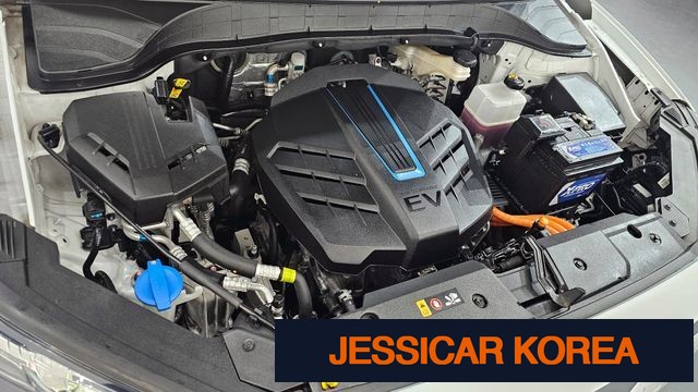 2019 Hyundai kona electric - Thumbnail 12
