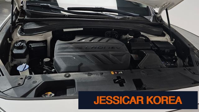 2019 Hyundai Santa Fe TM - Thumbnail 10