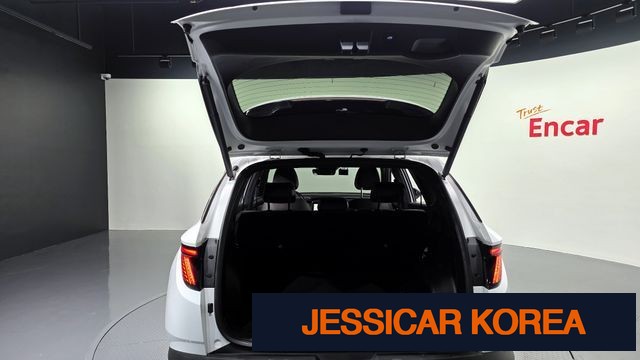 2021 Hyundai Tucson Hybrid (NX4) - Thumbnail 19