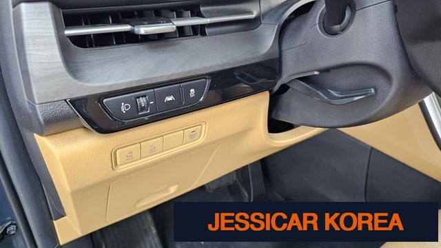 2021 Kia Carnival 4th Gen - Thumbnail 10