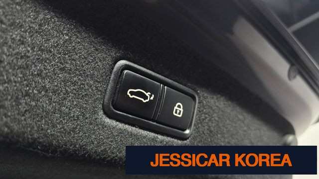 2019 Kia The K9 - Thumbnail 11