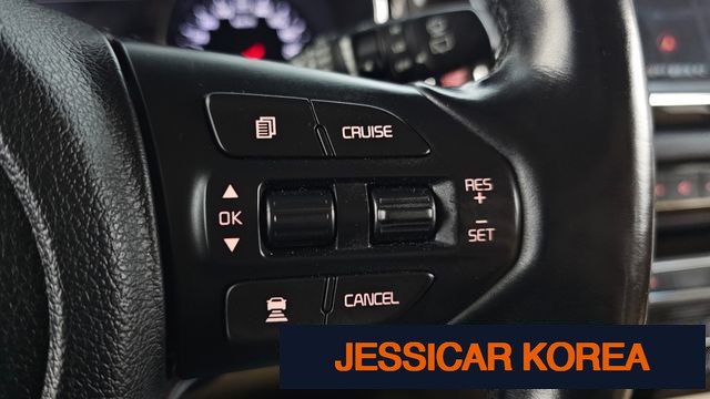 2019 Kia The New Carnival - Thumbnail 13
