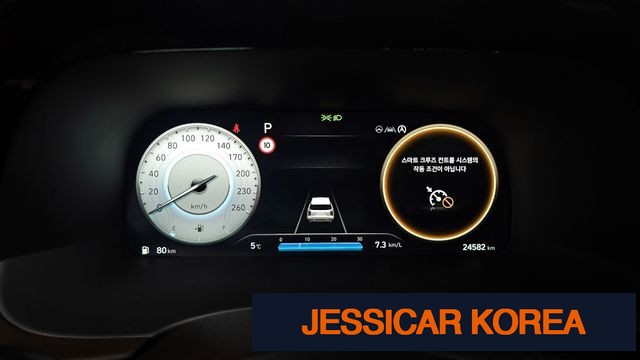 2023 Hyundai The New Palisade - Thumbnail 19