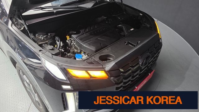 2023 Hyundai The New Palisade - Thumbnail 6