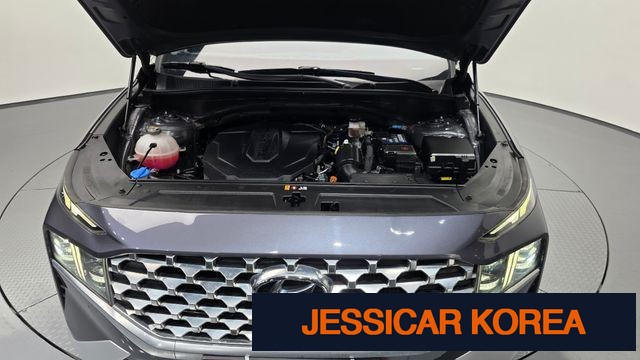 2021 Hyundai The New Santa Fe - Thumbnail 8