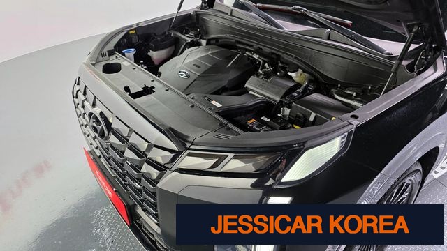2024 Hyundai The New Palisade - Thumbnail 12