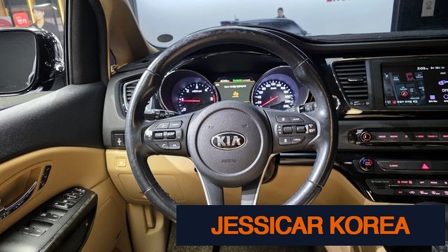 2019 Kia The New Carnival - Thumbnail 11