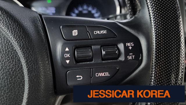 2019 Kia The New Carnival - Thumbnail 5