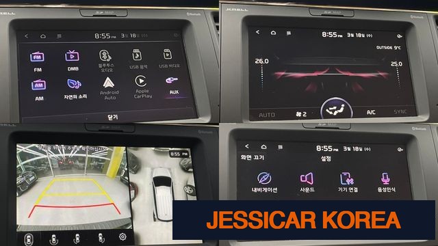 2019 Kia The New Carnival - Thumbnail 12